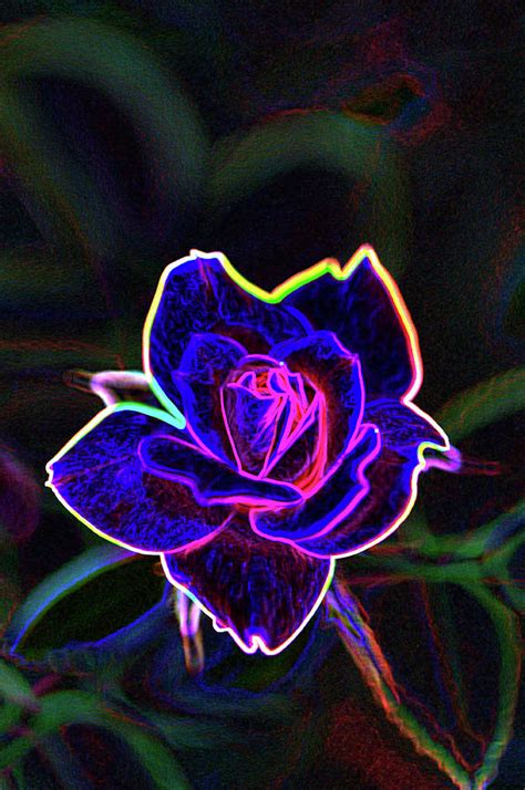 Neon Rose By Betty Larue