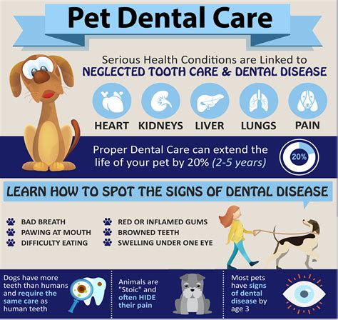 Fresh Facts About Your Pets Dental Health — Vienna Veterinary Clinic