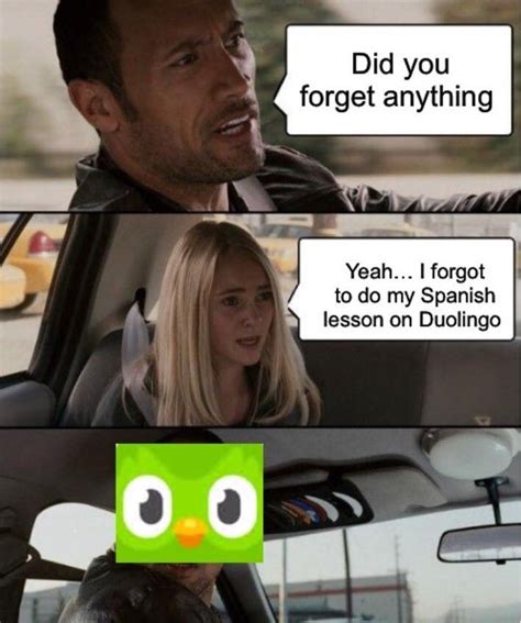 30 Hilarious Duolingo Memes Duolingo Memes Funny Memes Hilarious