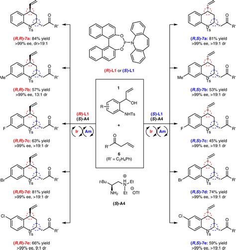 Enantioselective And Diastereodivergent 4 2 Cycloadditions Of Vinyl