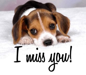 Mom i understand that god does have a plan. I miss you cute puppy :: Miss You :: MyNiceProfile.com