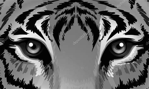 A Tiger With Sharp Eyes Stock Vector Image By ©blueringmedia 42271919