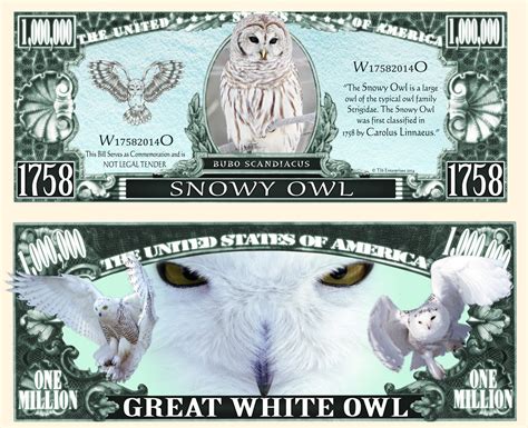 Owlowl Ticket Million Dollar Us Harfang Of Frozen Collection Animals