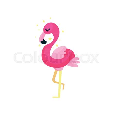 Flamingo Sommer Smuk Stock Vektor Colourbox