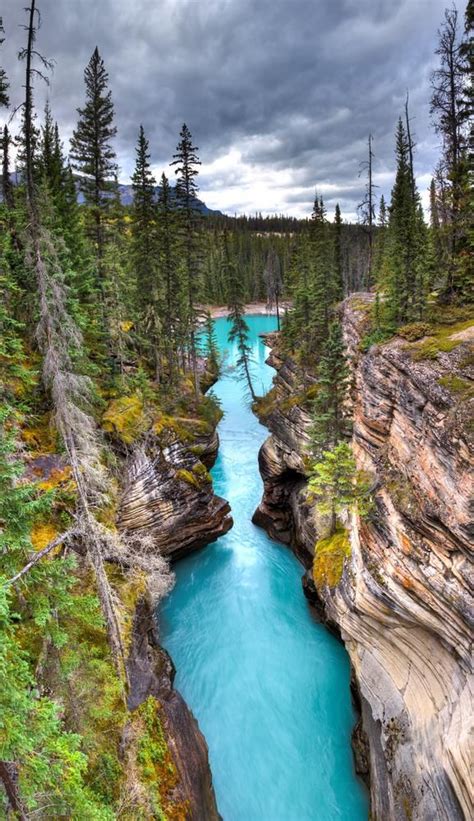 Athabasca Falls In Jasper National Park Alberta Canada Parques
