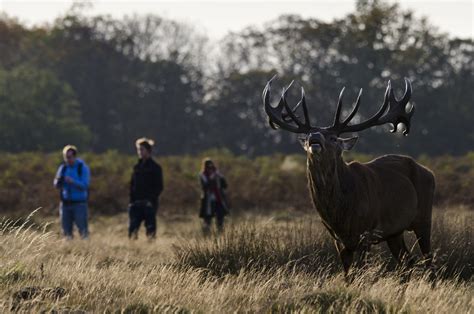 Sheffield And Rotherham Wildlife Trust