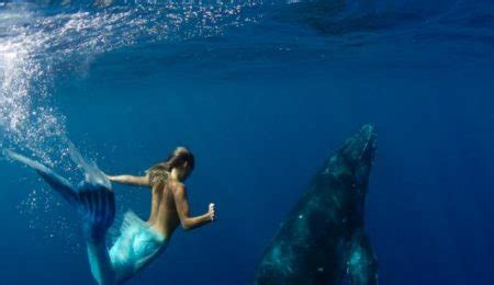 A Mermaid S Tail A Real Life Mermaid Who Swims With The Sharks And Can