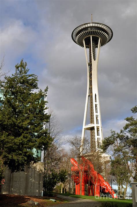 Seattles Space Needle Photograph By Cindy Murphy Nightvisions Fine