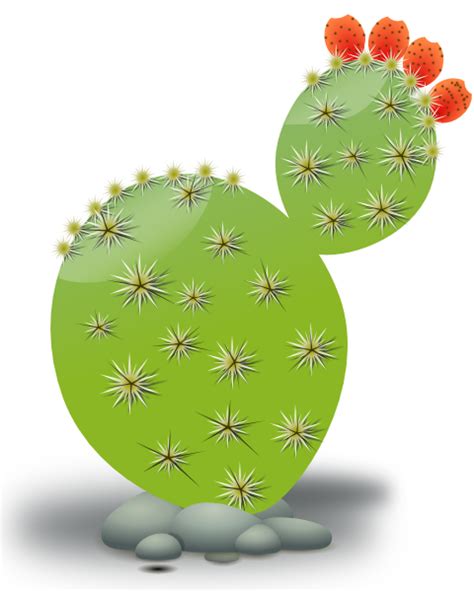 Free Free 70 Cactus Outline Svg Free SVG PNG EPS DXF File