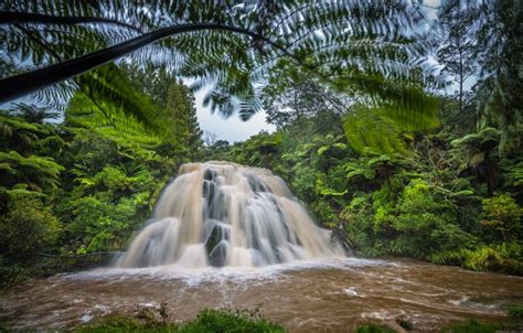 Wallpaper Forest River Waterfall New Zealand New Zealand Owharoa