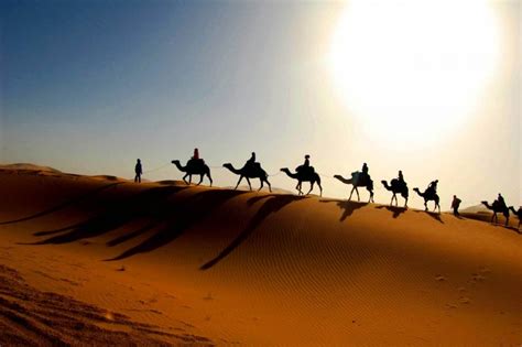 Why You Visit Sahara Desert Once In A Lifetime Travelbout