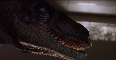 Velociraptor Jurassic Park Wiki Fandom Powered By Wikia