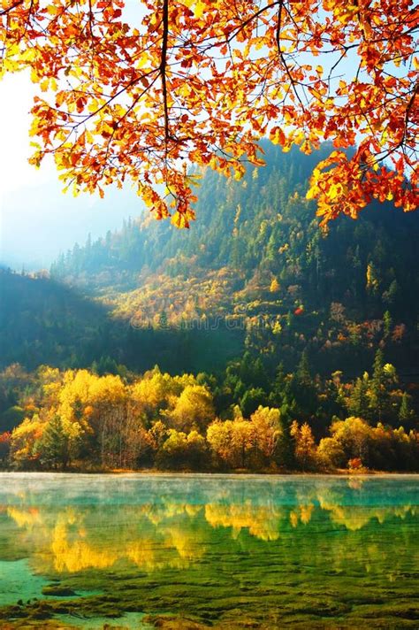 Autumn Tree And Lake In Jiuzhaigou Stock Image Image Of Environment