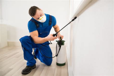 Benefits Of Pest Control For Businesses Small Business Ceo