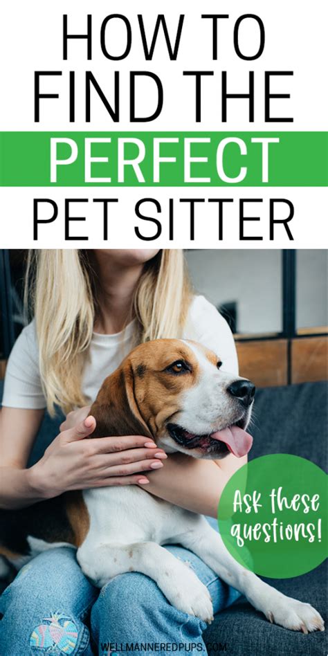 How To Find A Great Pet Sitter For Your Dog Well Mannered Pups
