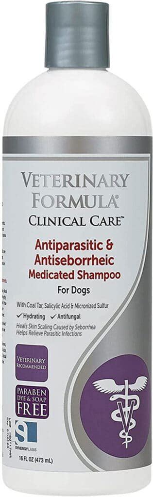 Best Mite Shampoo For Dogs To Treat Dogs Skin Conditions