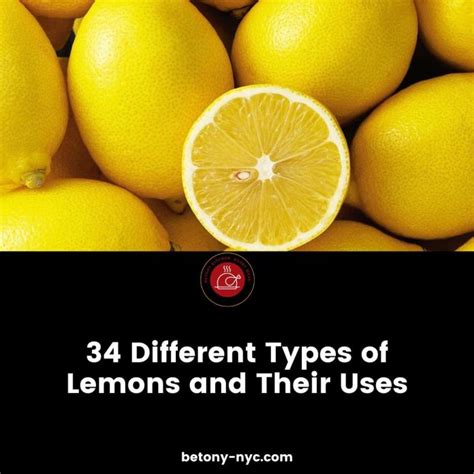 34 Different Types Of Lemons And Their Uses With Pictures