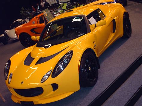 Filelotus Elise S Wikimedia Commons