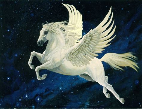 Interpretation Of A Dream In Which You Saw Pegasus