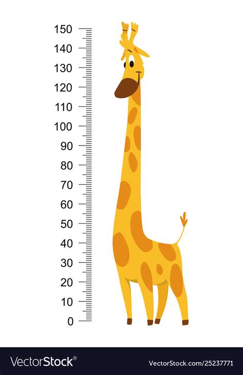 Giraffe Meter Wall Or Height Chart Royalty Free Vector Image