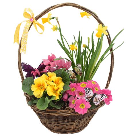 Spring Basket Of Flowers Pictures Photos And Images For Facebook