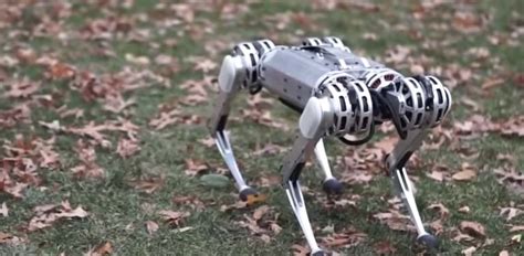 Mits Mini Cheetah Is The First Four Legged Robot To Do A Backflip
