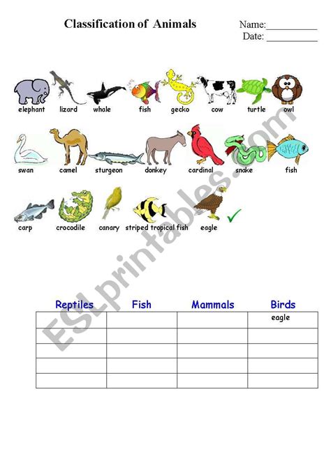 Animal classification worksheets learny kids. classification of animals 1. - ESL worksheet by Beucici17