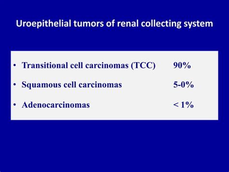 Ultrasound Of The Urinary Tract Renal Tumors