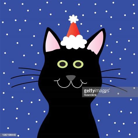 Black Cat Santa Hat Photos And Premium High Res Pictures Getty Images