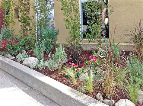 Check spelling or type a new query. Drought-tolerant plants and hedge trees brighten up this ...