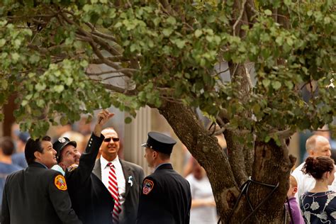 The 911 Survivor Tree Is A Reminder Of Resilience And Rebirth