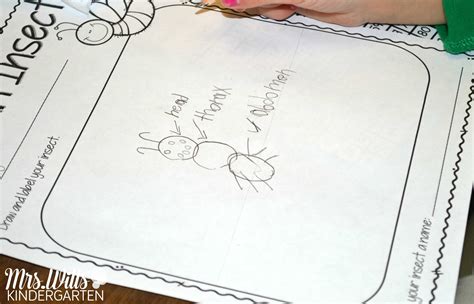 Insect Lesson Plans For Kindergarten Kindergarten Poetry Kindergarten