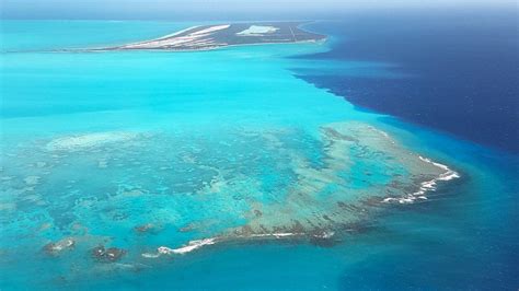 Turks And Caicos Corals Disease Threatens Barrier Reef Bbc News