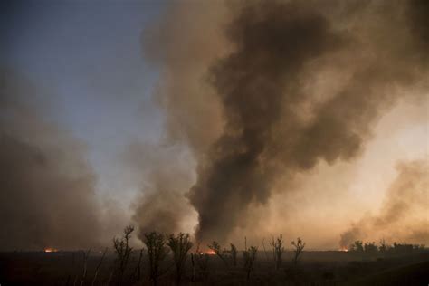 Reporte Oficial Por Los Incendios En Argentina Son Cuatro Las