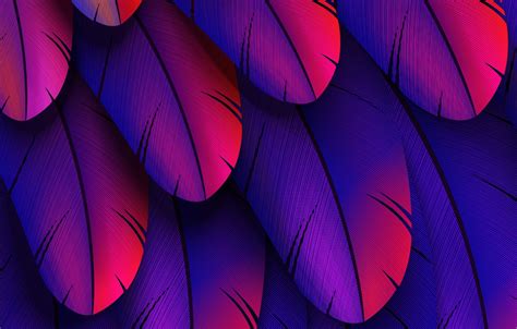 Wallpaper Colorful Feather Abstract 3d Images For Desktop Section