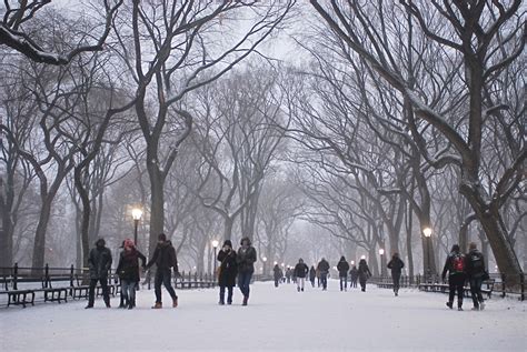 Nyc ♥ Nyc Snowy Central Park