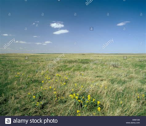 Shortgrass Prairie Stock Photos And Shortgrass Prairie Stock Images Alamy