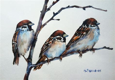 Sparrows Birds On The Branch Original Watercolor Painting In