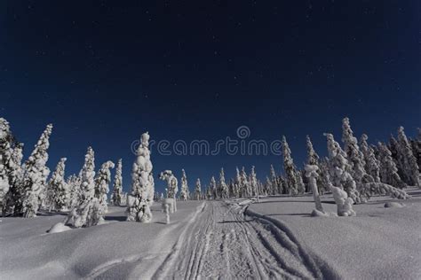 Beautiful Nature And Landscape Photo Of Sweden Scandinavia At Cold