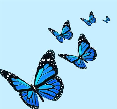 Background Wallpaper Iphone Pastel Blue Butterfly Aesthetic