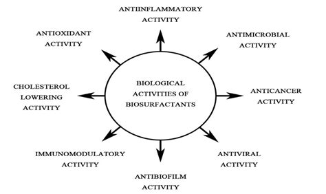 Biological Activities Of Biosurfactants Download Scientific Diagram