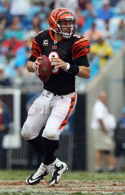 Bengals Vs Browns 10 Things For Cincy Fans And Can Carson Palmer Play