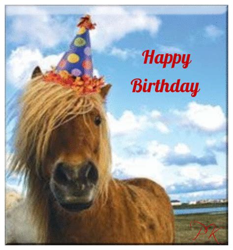 Happy Birthday Horse Happy Birthday Horse Horse Birthday Happy