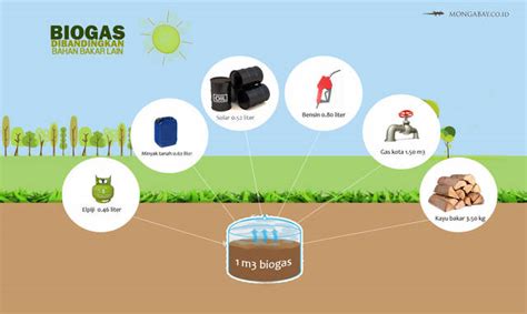 Pemanfaatan Energi Alternatif Biogas Dalam Kehidupan Sehari Hari