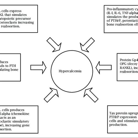 Mechanisms Of Hypercalcemia In Htlv 1 Infection Download Scientific