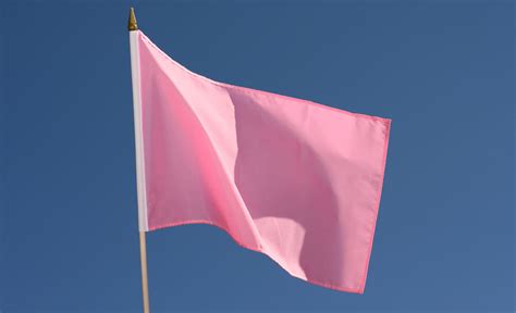 Hand Waving Flag Pink 12x18 Royal Flags