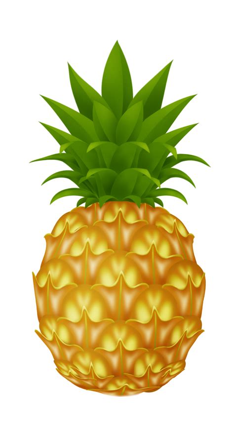 Pineapple Png Transparent 100422 610x500 Pixel