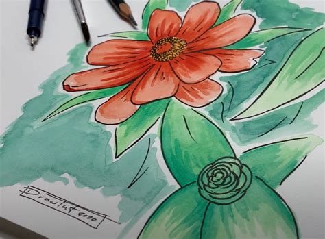 Blume zeichnen lernen mit Bleistift, Fineliner & Wasserfarbe [Video]