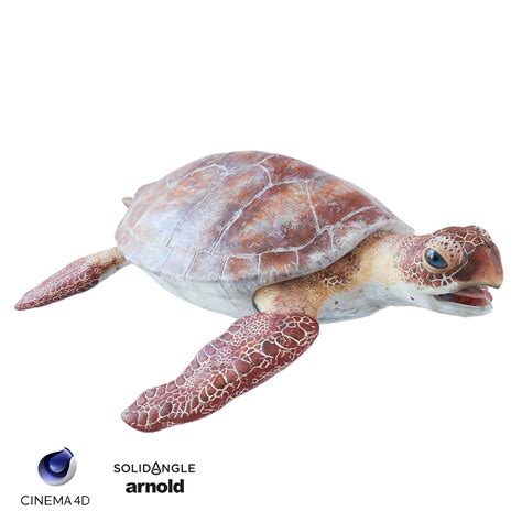 Sea Turtle V1 Free 3D Model Obj Stl Free3D