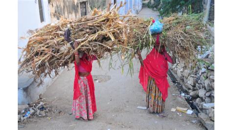 Quel Travail Des Femmes En Inde Geo Fr